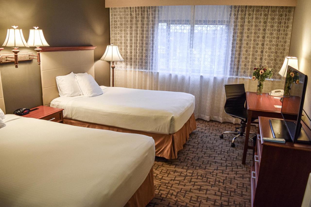 Comfort & Downtown Hotel 2*