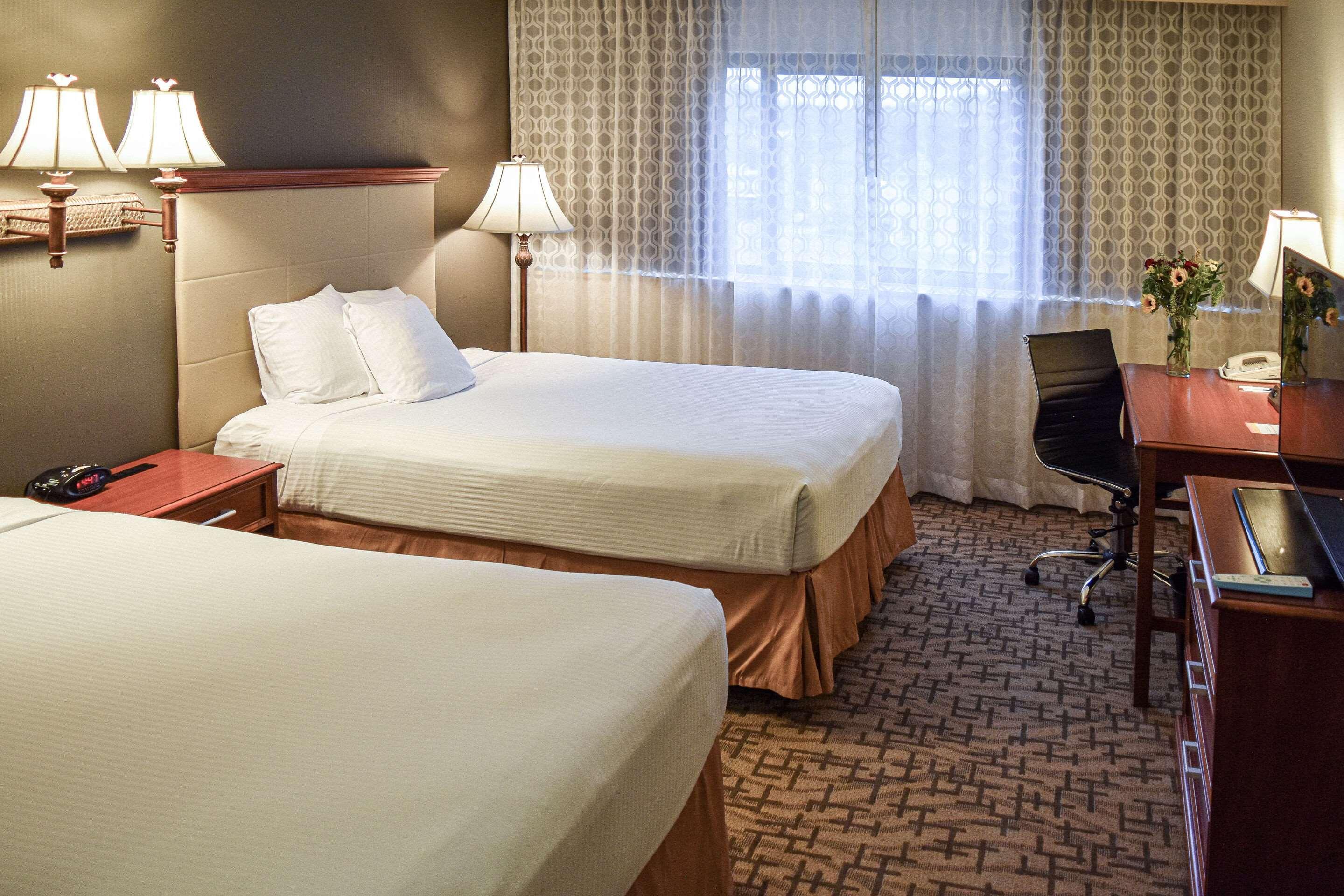 Comfort & Downtown 2*