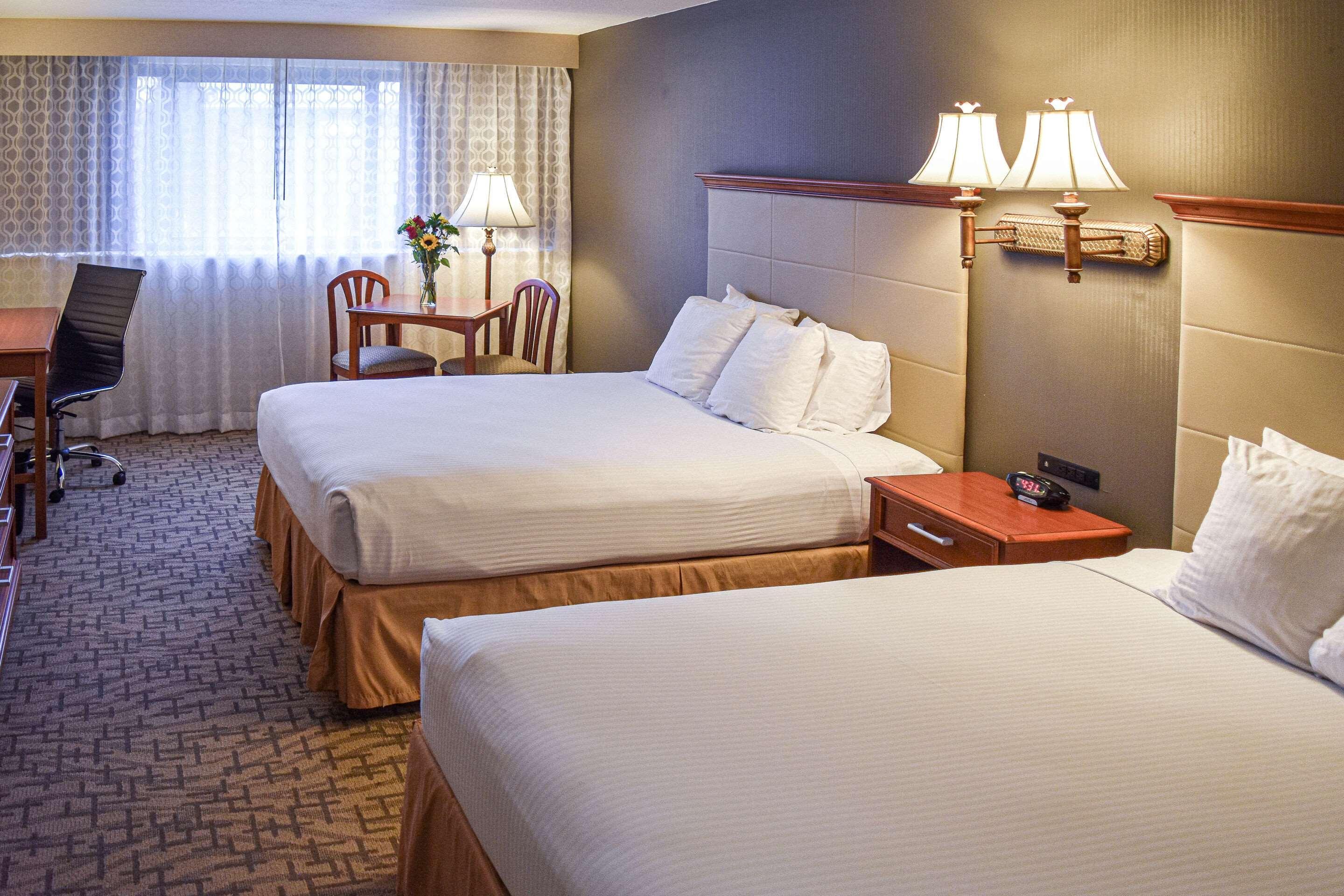 Comfort & Downtown Hotel