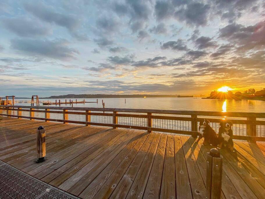 Walk To The Waterfront! The Cozy Apartamento *