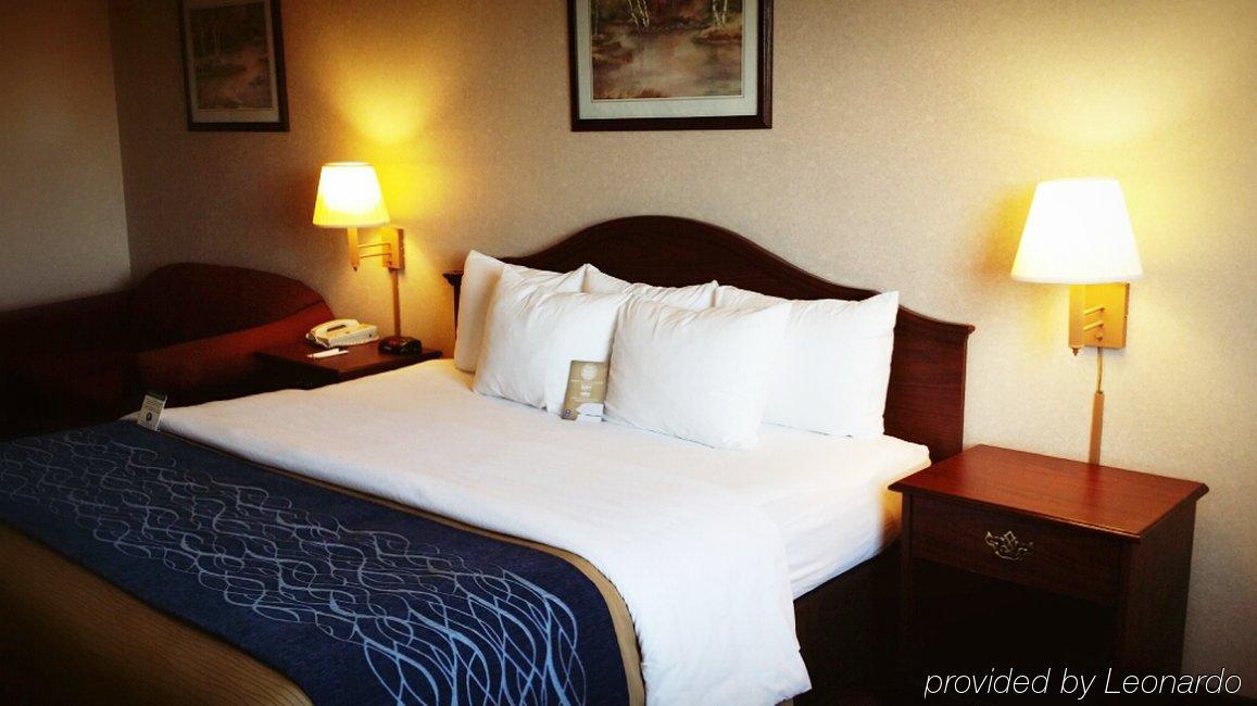 Comfort 3* Tacoma