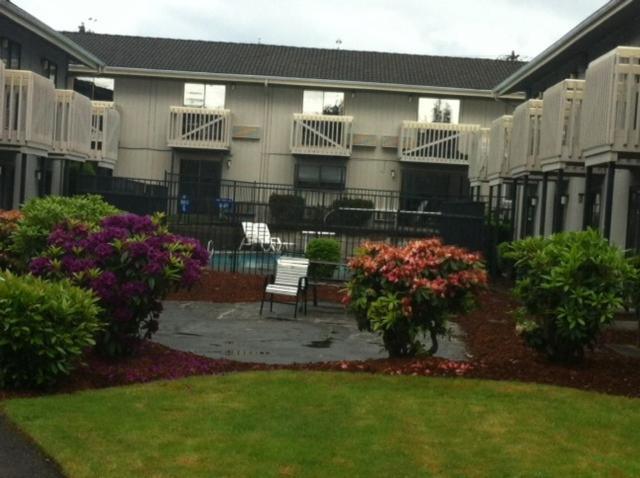 South Motel