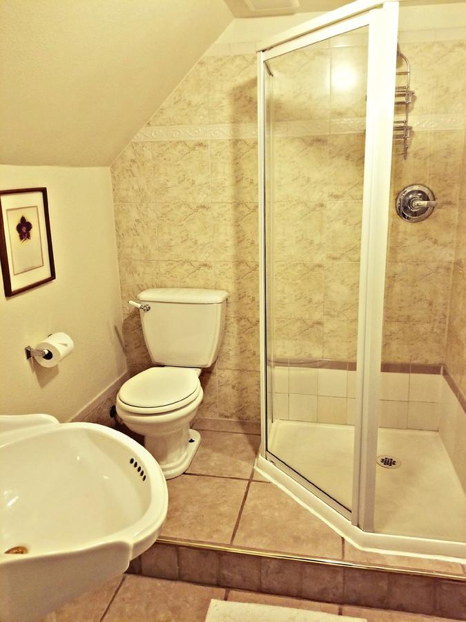 Geiger Victorian 2*