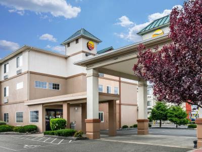 Comfort Hotel