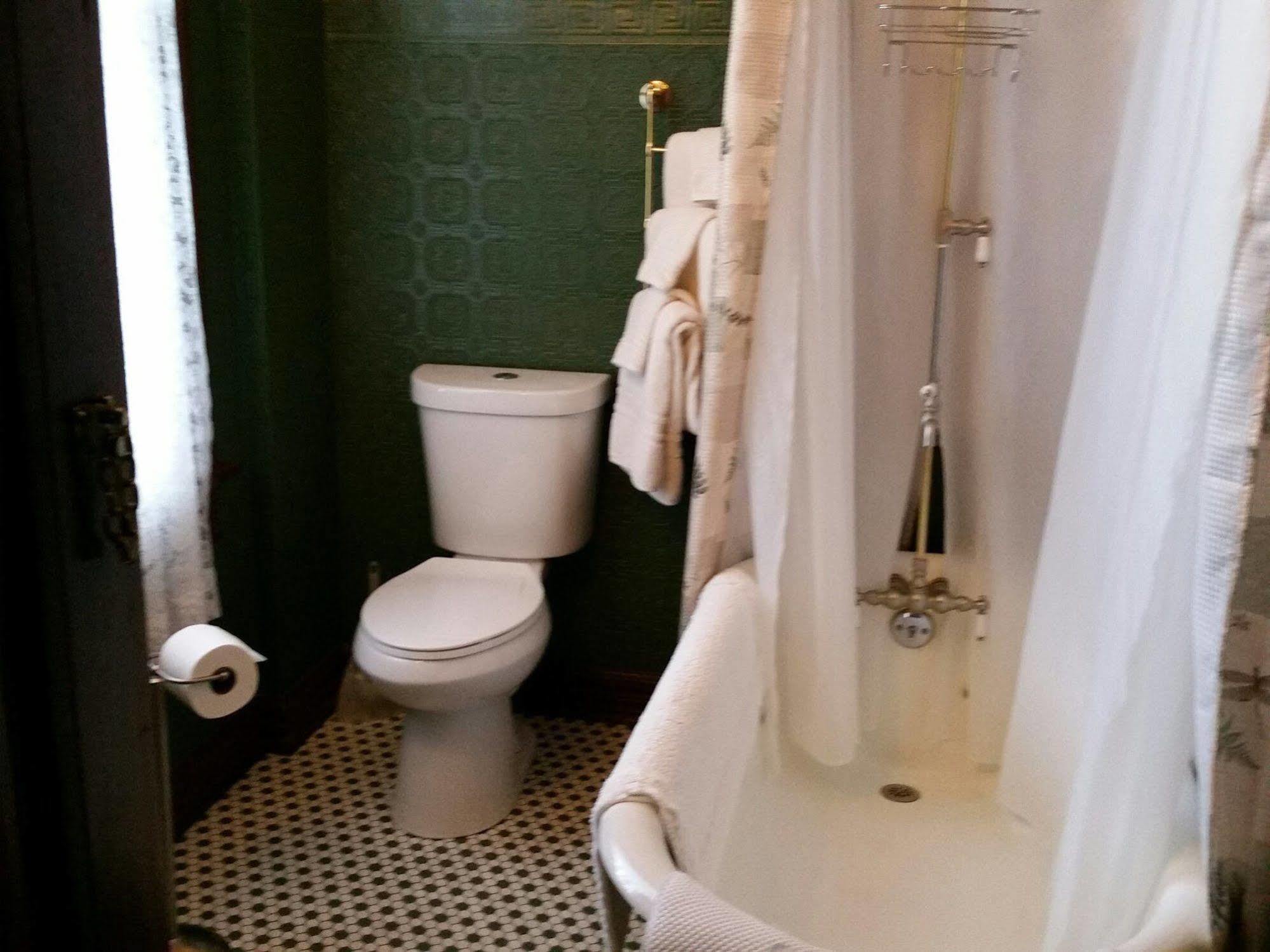 Geiger Victorian 2*
